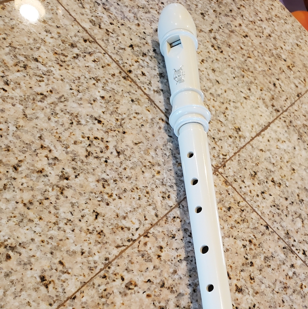 Recorder - Musical Instrument - Picture 3 of 5